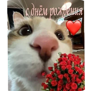 Telegram stiker ❤ Pycukkst @Pycukie