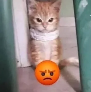 Video sticker 🌟 @VLAGA_STICK 👈 Там ВСЕ стикеры❤️