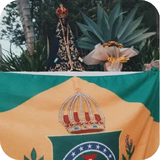 Telegram sticker 🇧🇷 Auriverdismo