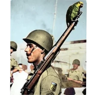 Video sticker 🇧🇷 Auriverdismo