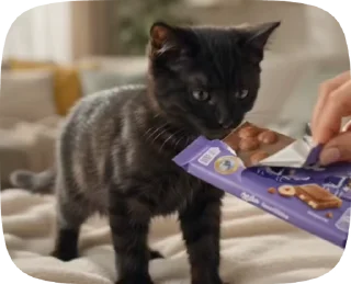 Video sticker 🍫 JAPA_PETS