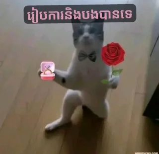 Telegram sticker 💖 @Bart_nh_ng_hz_pozz_smos
