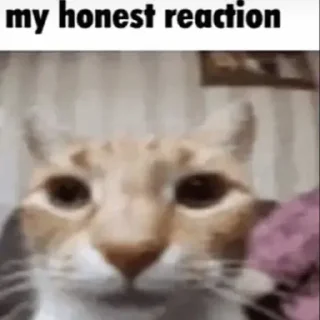 Sticker 🎎 نه٫،؛