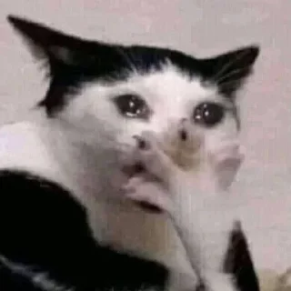 Sticker 🧸 𝑖𝑠𝑎𝑏𝑒𝑙𝑙𝑒 𝑖𝑠 𝑘𝑎𝑢 @rojifne