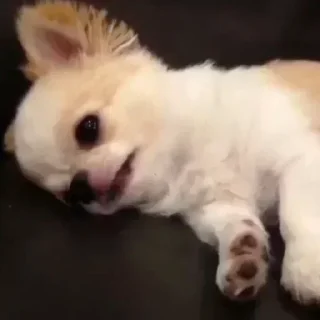 Telegram sticker 🧸 𝑖𝑠𝑎𝑏𝑒𝑙𝑙𝑒 𝑖𝑠 𝑘𝑎𝑢 @rojifne