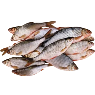 Telegram stiker 🐠 Больше стиков тут: @stikery4