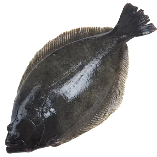 Video sticker 🕊 Больше стиков тут: @stikery4