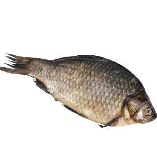 Sticker 🐋 Больше стиков тут: @stikery4