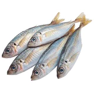 Telegram stiker 🦀 Больше стиков тут: @stikery4