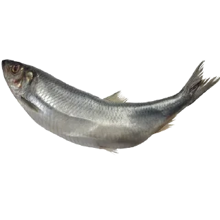 Telegram stiker 🐊 Больше стиков тут: @stikery4