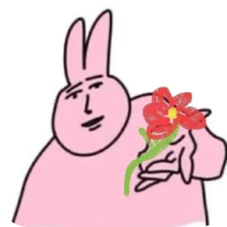 Video sticker 🌹 zaiцы