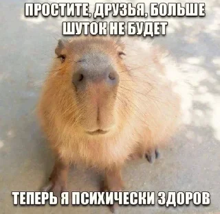 Telegram sticker 🙃 Больше стиков тут: @stikery4