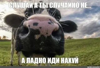 Telegram sticker 🤭 Больше стиков тут: @stikery4