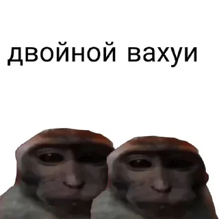 Video sticker 🙈 Больше стиков тут: @stikery4