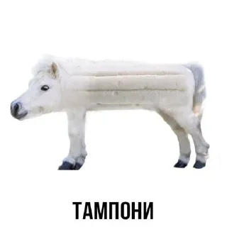 Telegram sticker 🙈 Больше стиков тут: @stikery4