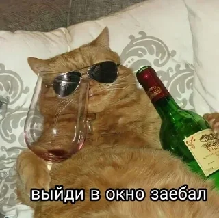 Telegram sticker 😉 Больше стиков тут: @stikery4