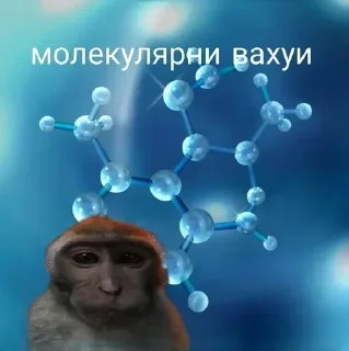 Video sticker 😼 Больше стиков тут: @stikery4