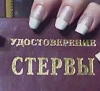 Video sticker 🪵 Больше стиков тут: @stikery4