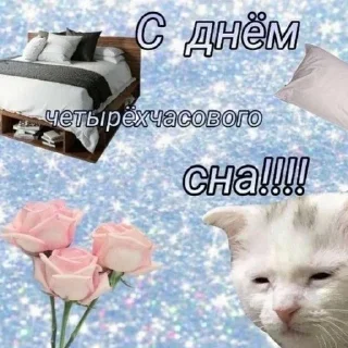 Video sticker 😪 ого