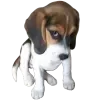 Video sticker 😉 собачки