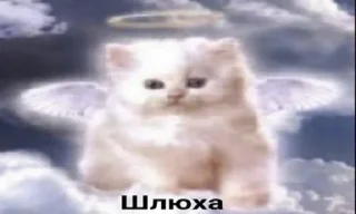 Video sticker 🌟 СВэК :: @fStikBot