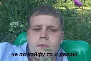 Telegram sticker 🌟 СВэК :: @fStikBot