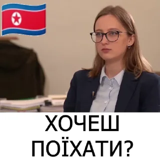 Video sticker 🐖 🇺🇦УНДР-пак🇰🇵