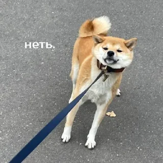 Telegram sticker 🤨 Моя_изба :: @fStikBot