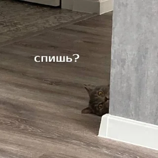 Telegram sticker 😏 Моя_изба :: @fStikBot