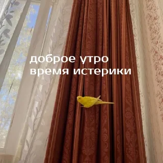 Telegram sticker 👋 Моя_изба :: @fStikBot