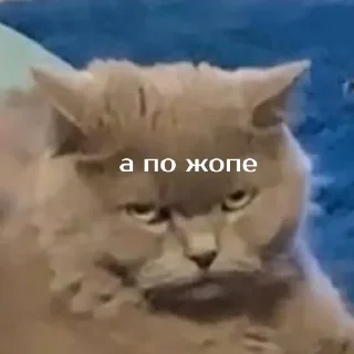 Telegram sticker 😡 Моя_изба :: @fStikBot