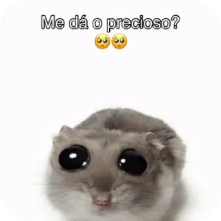 Телеграм стикер 🐱 Pack do Negão