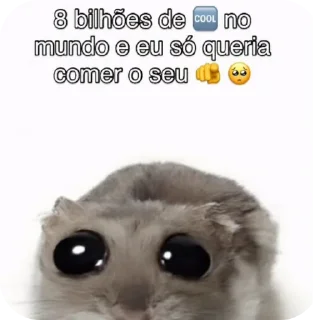 Телеграм стикер 🐱 Pack do Negão