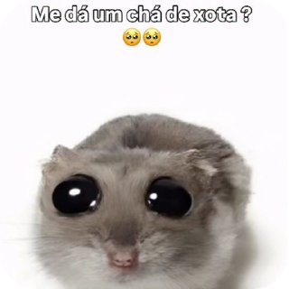 Video sticker 🐱 Pack do Negão