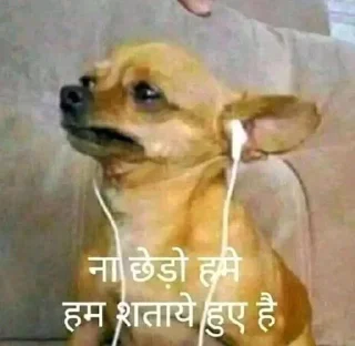 Video sticker 🙂 मस्ती