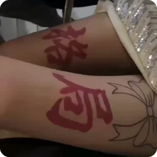 Video sticker ❤️ 电报必备资源👉@wlop3