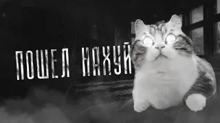Video sticker 💀 Комару @SilaBibizan