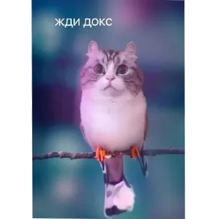 Sticker 🐦 Комару @SilaBibizan