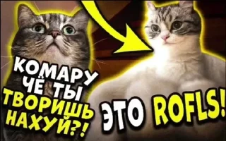 Telegram sticker 💀 Комару @SilaBibizan