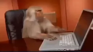 Video sticker 🤨 чюпеп