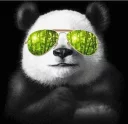 Telegram sticker 😎 Funny panda😄
