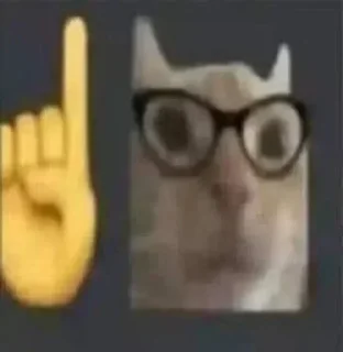 Video sticker 🤓 Больше стиков тут: @stikery4