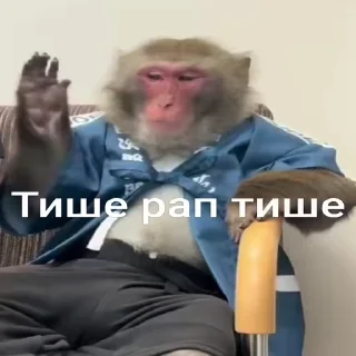 Video sticker 🥱 Soniclol09🗿🔥