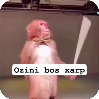Video sticker 🙄 Soniclol09🗿🔥
