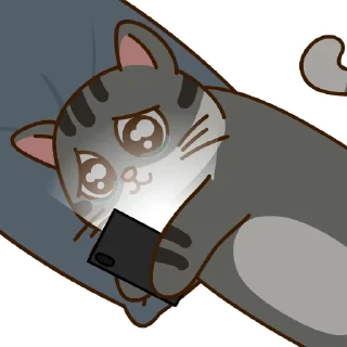 Video sticker 🥹 Catteax$PEACHonTON @Lifeisapeach #6760@sticker_bot