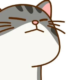 Video sticker 😌 Catteax$PEACHonTON @Lifeisapeach #6760@sticker_bot