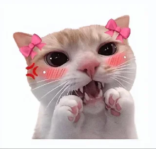 Telegram sticker 🤩 @itsrio