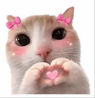 Telegram sticker 🤩 @itsrio