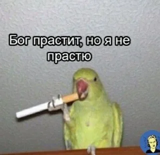 Telegram sticker 🌟 catari :: @fStikBot