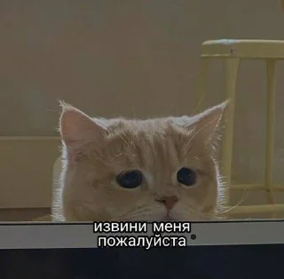 Telegram sticker 🌟 catari :: @fStikBot